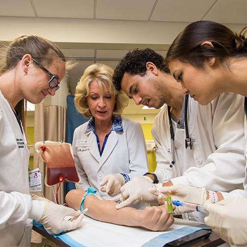护理专业的学生正在学习如何将血液注入实习手臂
